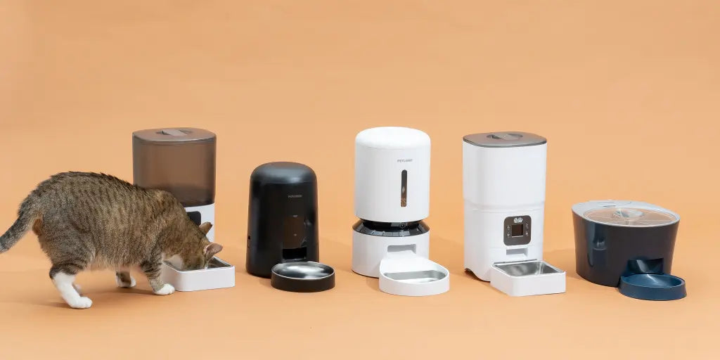 Are Automatic Cat Feeders Worth It for Busy Owners?