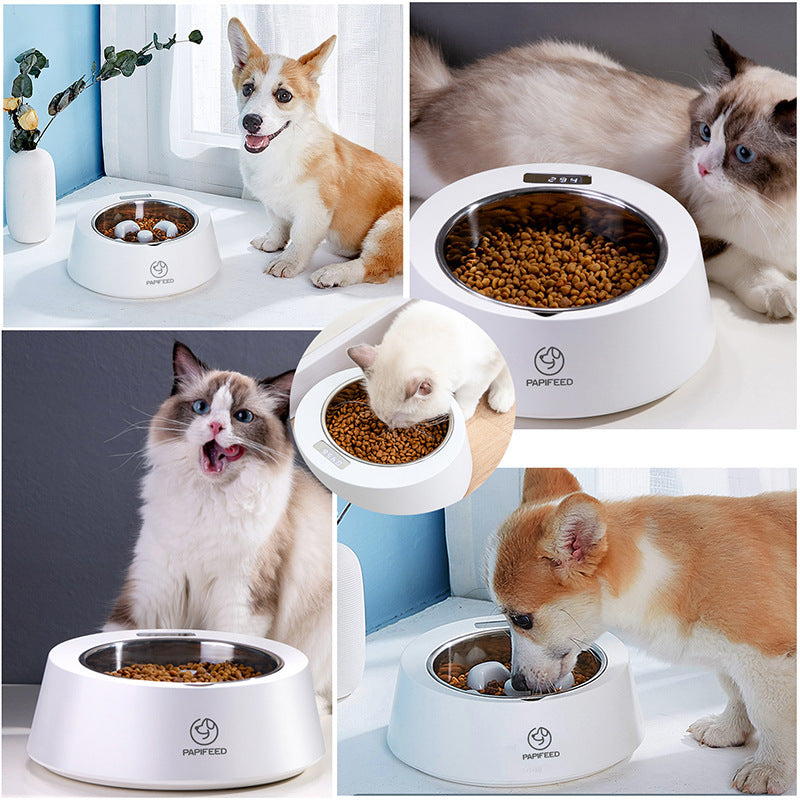 Smart Slow Feeder Bowl – Healthy Eating for Pets
