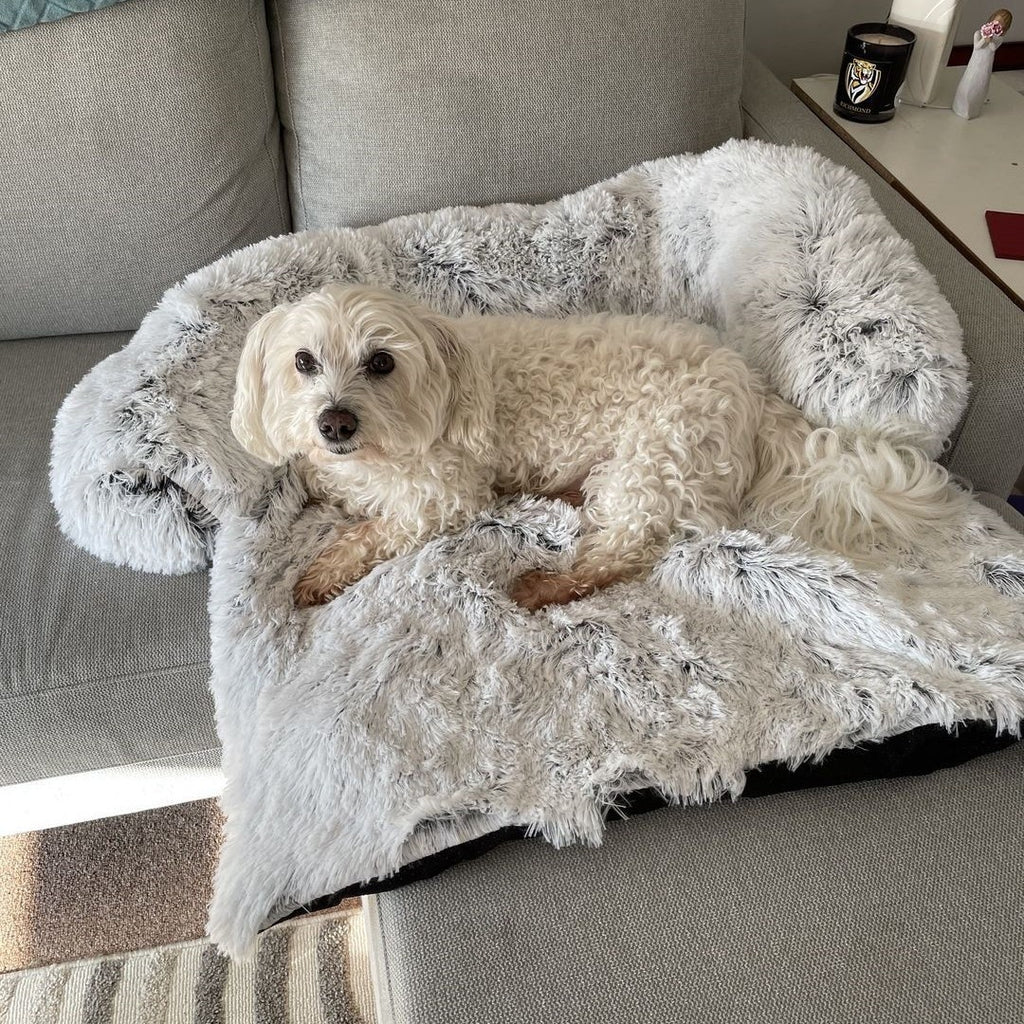 Cozy Cloud Dog Bed for Better Sleep and Happy Pups