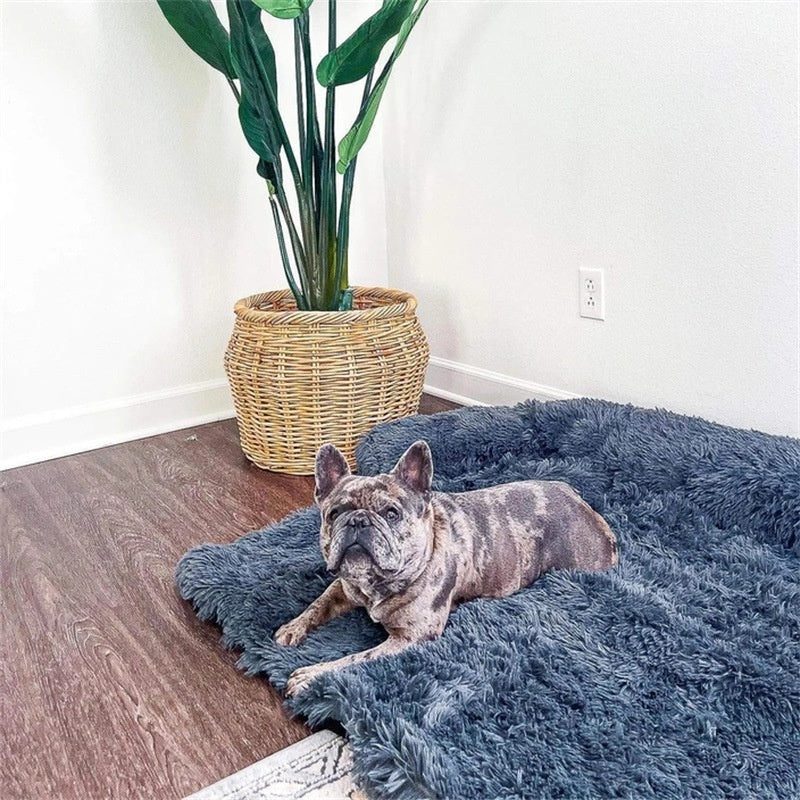 Cozy Cloud Dog Bed for Better Sleep and Happy Pups