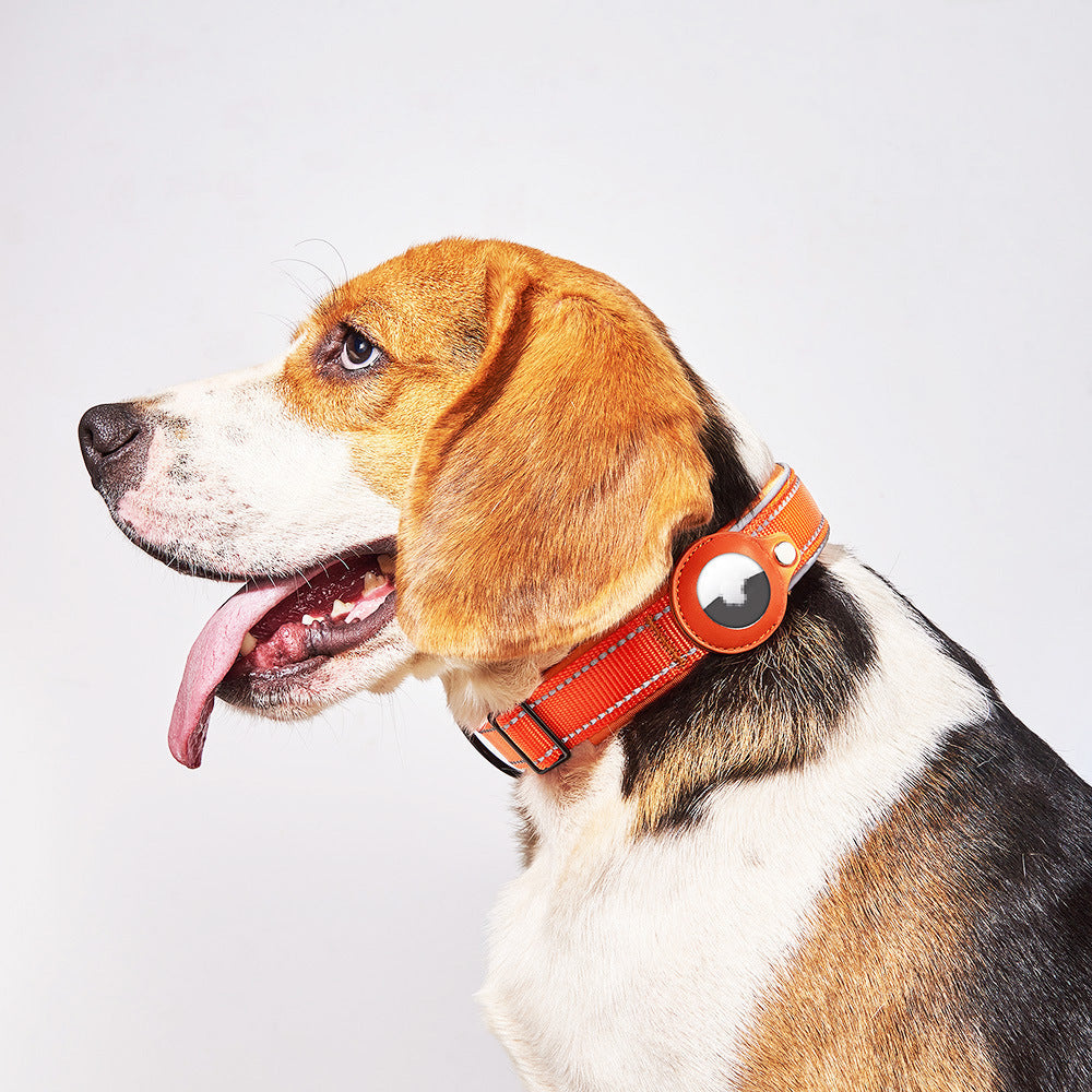 Smart Airtag Collar for Pets – Track with Confidence